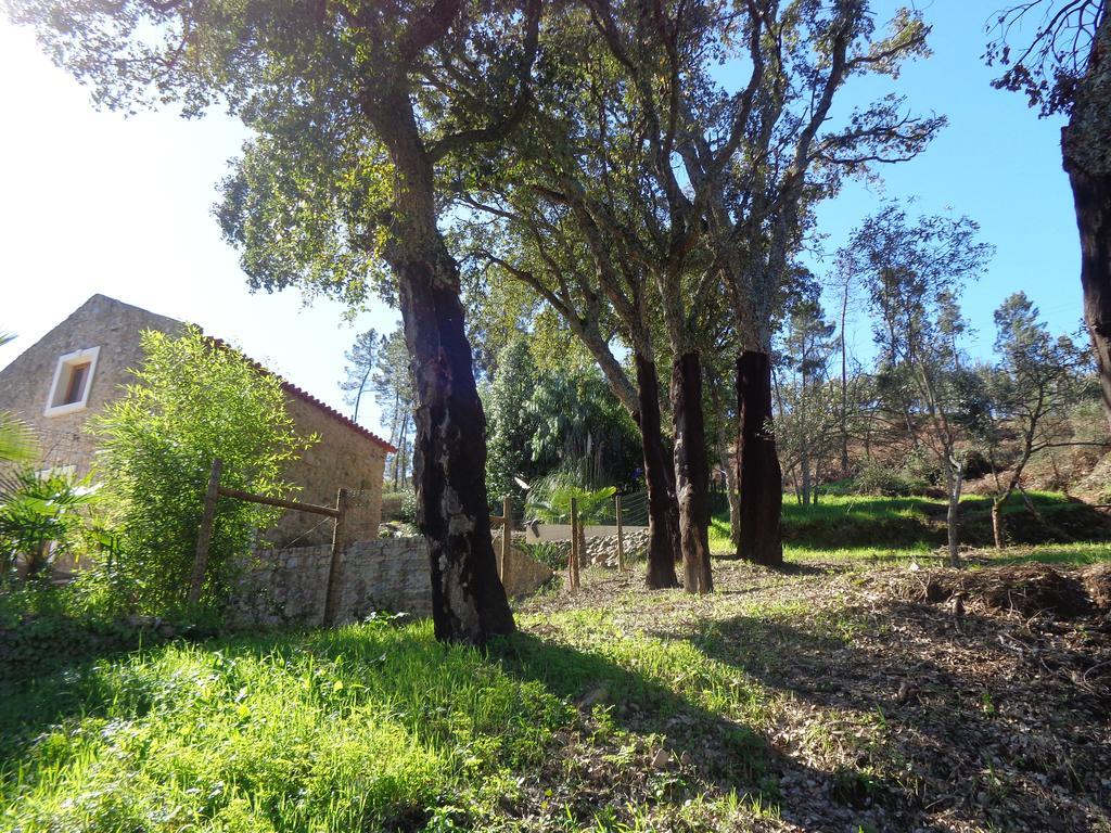 Oak Cottage Ferreira do Zêzere Extérieur photo