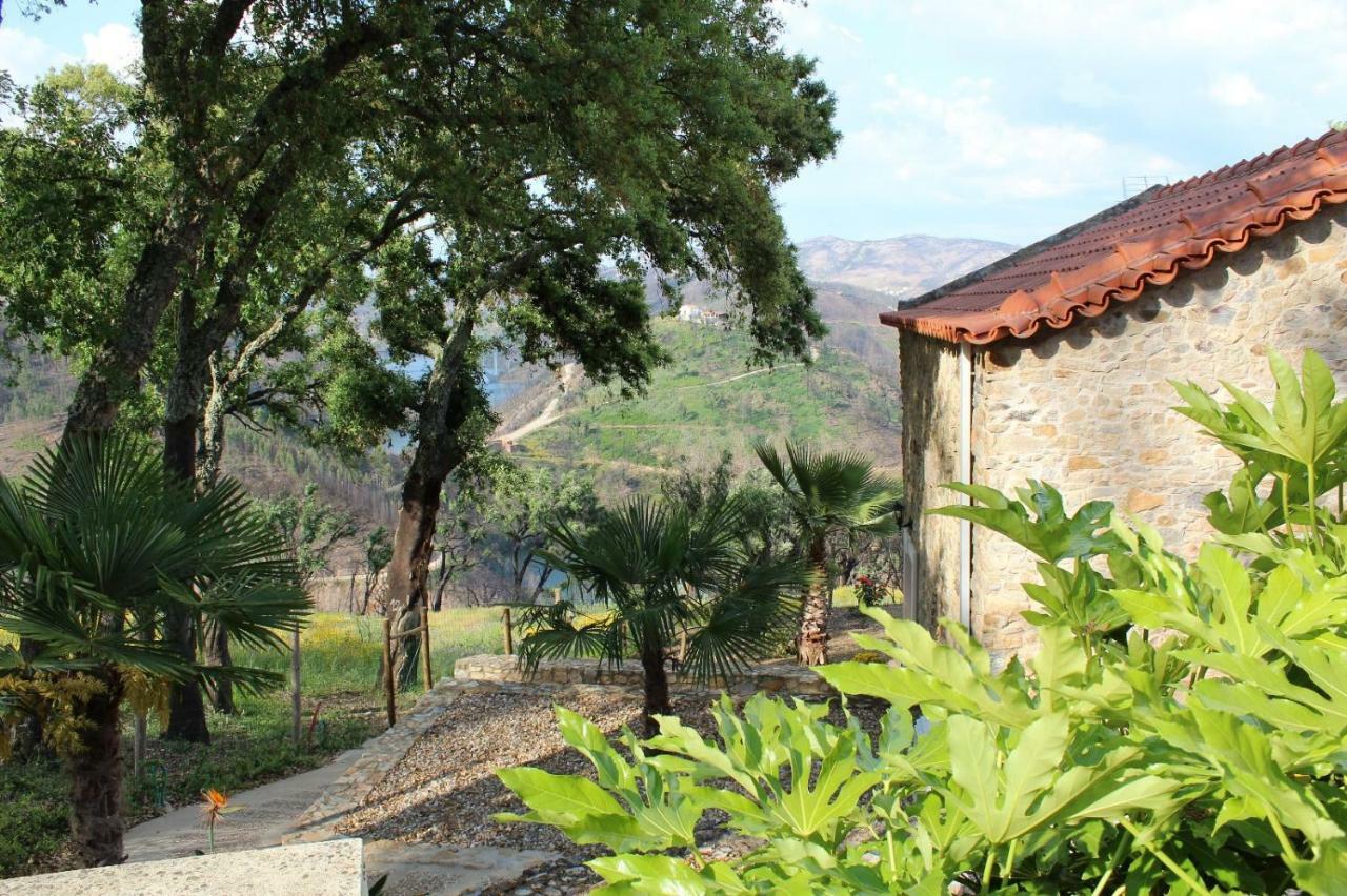 Oak Cottage Ferreira do Zêzere Extérieur photo